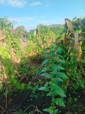 One Plot of Land With Foundation for Sale at Omo Afe Ado-Ekiti