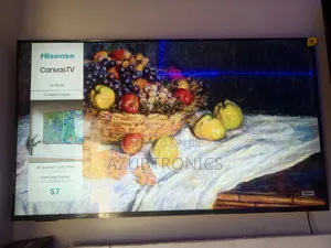 55" Canvas Tv Hisense Qled