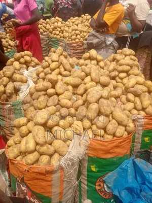 Potatoes Direct From Farms in Plateau
