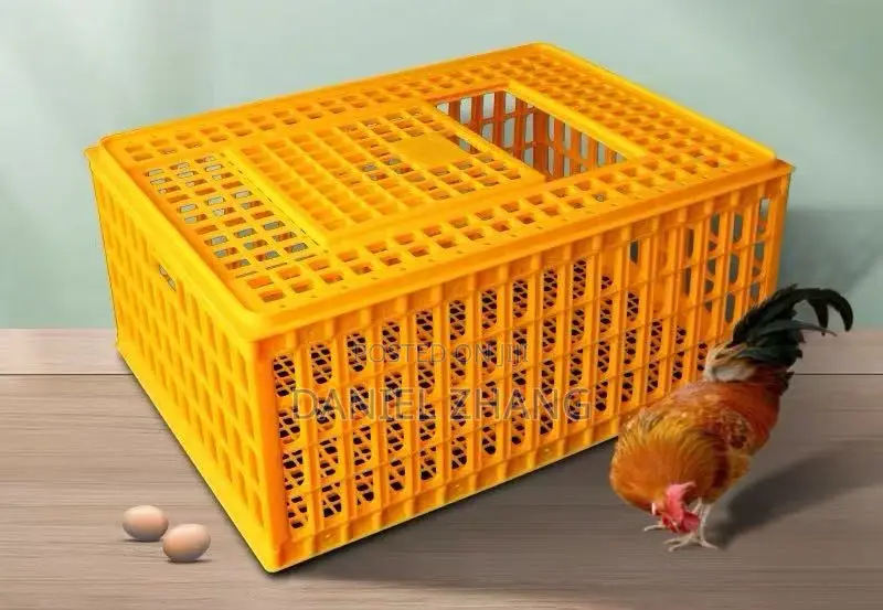 Transfer Crates for Poultry