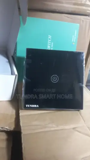 Tundra Smart Switch 1gang