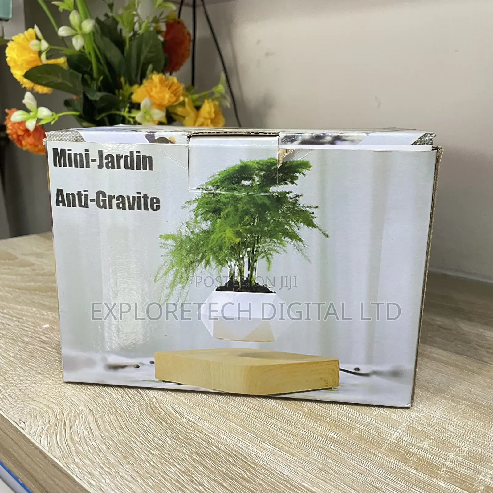 Levitating Magnetic Flower Pot