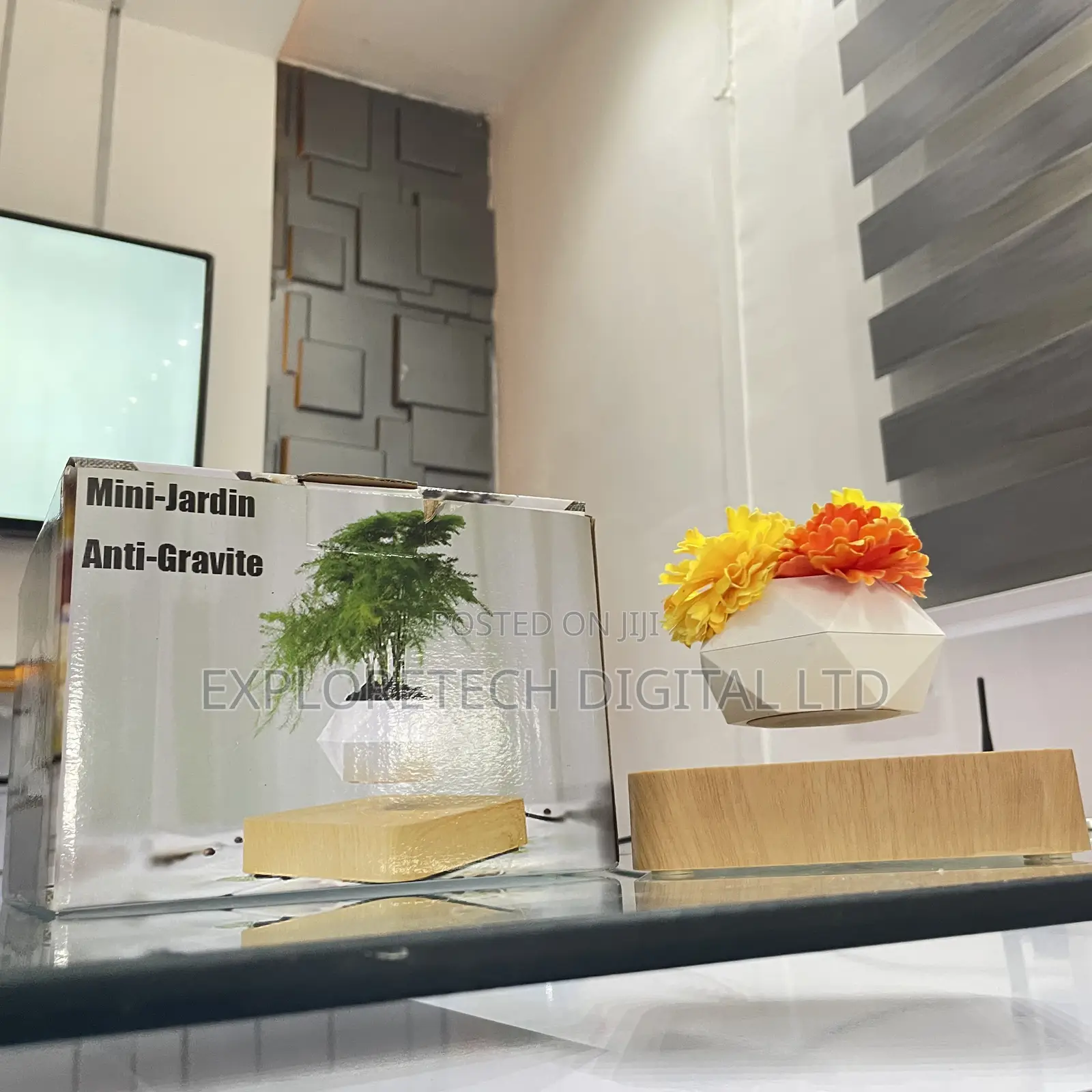 Levitating Magnetic Flower Pot
