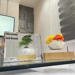 Levitating Magnetic Flower Pot