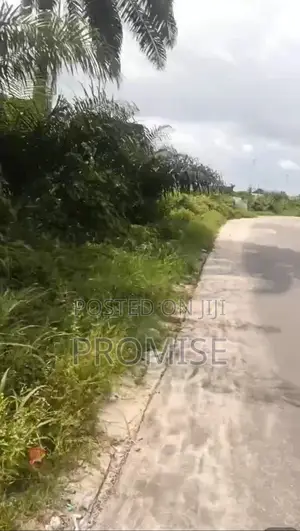 15 Plots Of Land For Outright Sale At Ukpiowi Udu