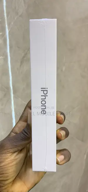 New Apple iPhone 16 Pro 256 GB Silver