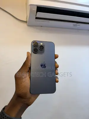 Apple iPhone 15 Pro Max 256 GB Gray
