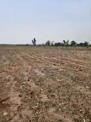 65 Hectares Idu Industrial With C of O