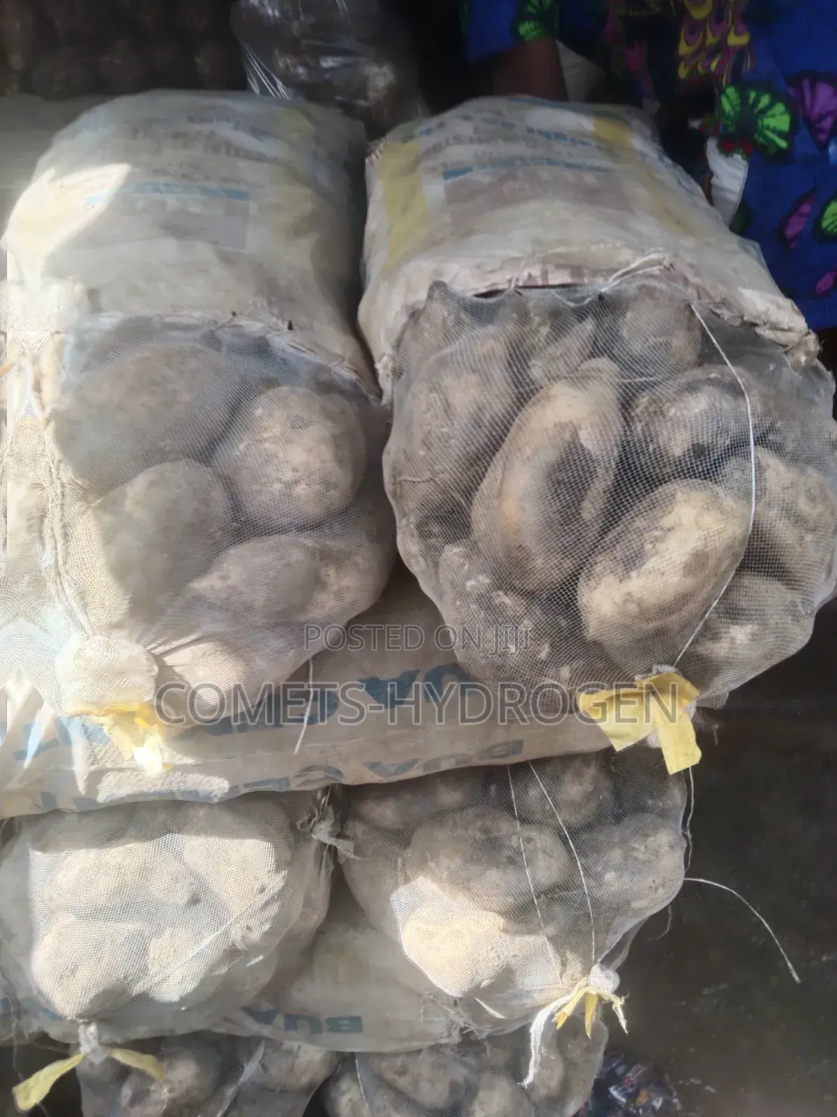 Freshly Harvested Sweet Potatoes