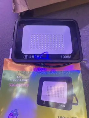 100wt Flood Light