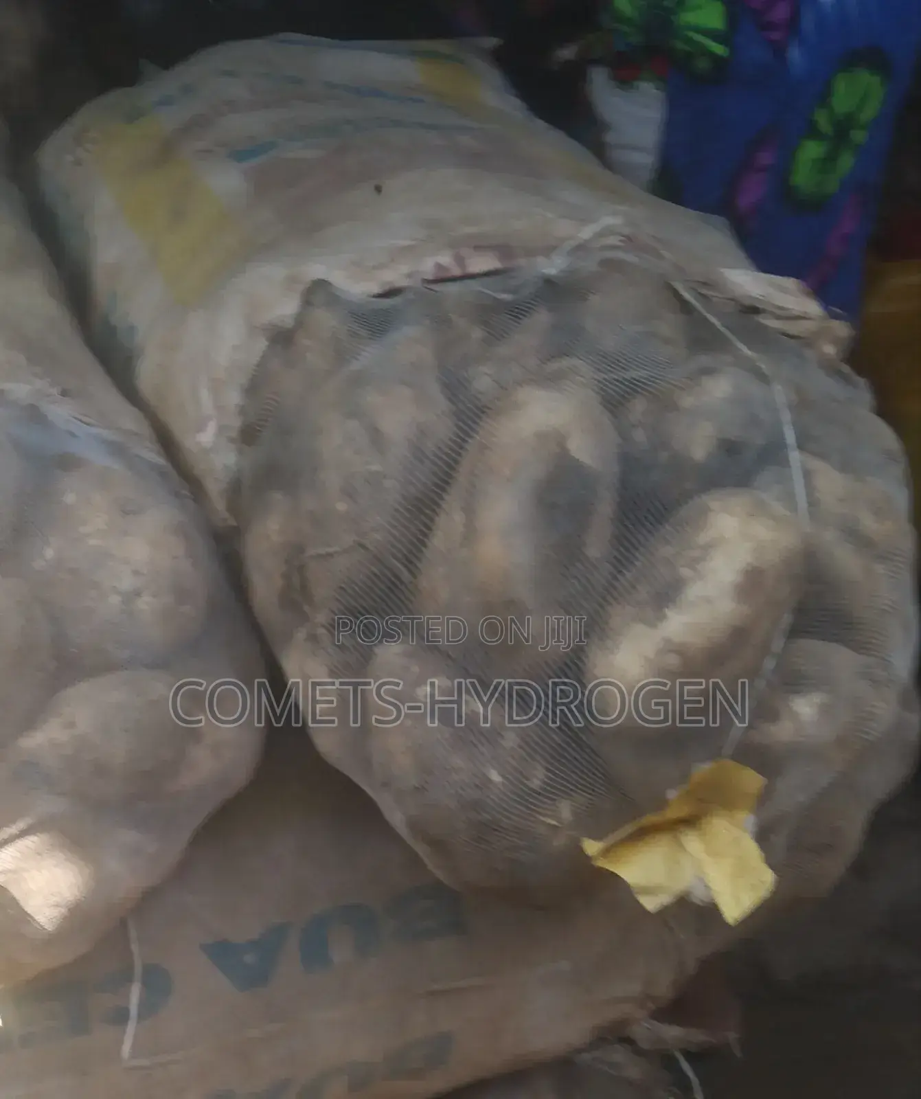Freshly Harvested Sweet Potatoes