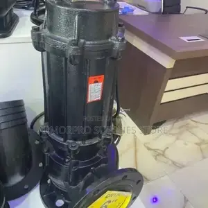 Heavy-duty Astral Sewage Industrial Pump