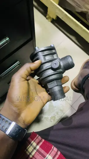 30bar Non Return Valve