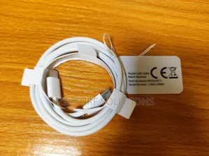 Apple Type-C Reversible Cable
