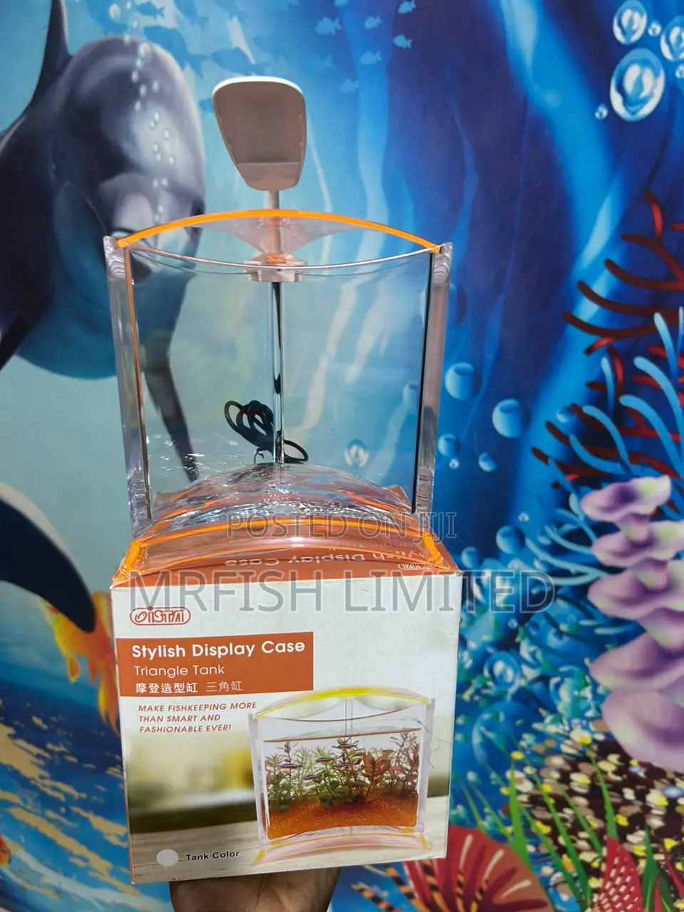 Mini Triangle Table Top Aquarium