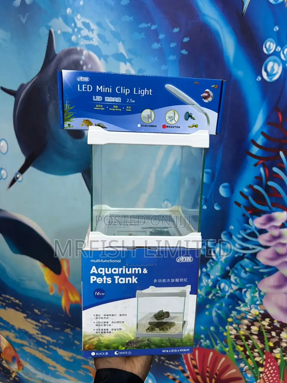 Table Top Aquarium