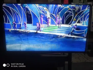 Samsung Smart Tv