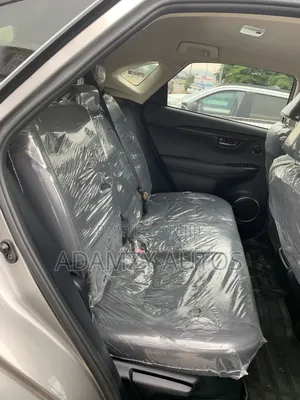 Lexus NX 2020 Gray