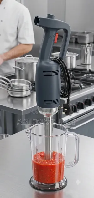 Immersion Blender 500 Watts