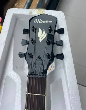 Minsine Jazz Guitar
