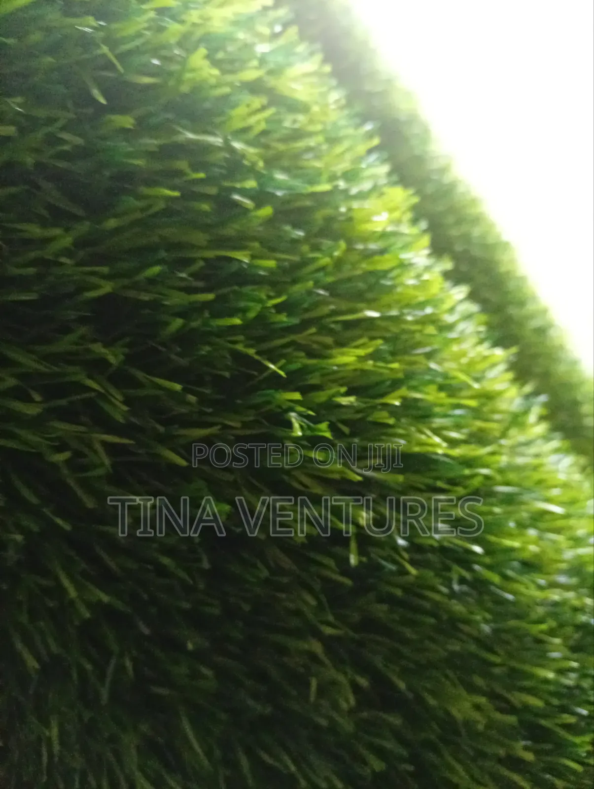 Artificial Grass Available in Bulk, Different Sizes and Colours.