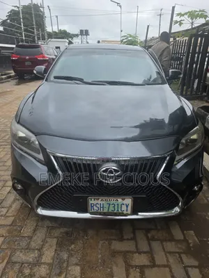 Lexus RX 2008 Gray