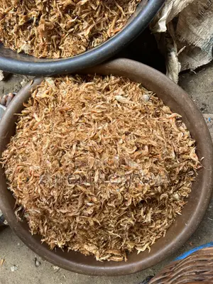 Crayfish and Fish