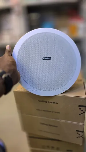 Surpass 100w High Power Ceiling Speaker