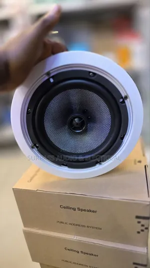 Surpass 100w High Power Ceiling Speaker