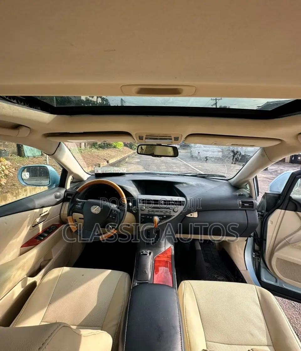 Lexus RX 2010