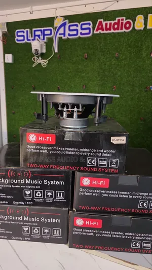 100watts Ceiling Speaker