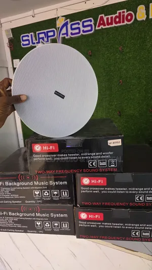 100watts Ceiling Speaker