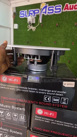 100watts Ceiling Speaker