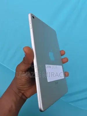 Apple iPad mini 4 128 GB Gray