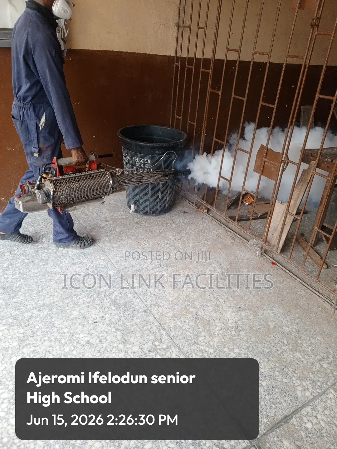 Bed Bugs Fumigation Services
