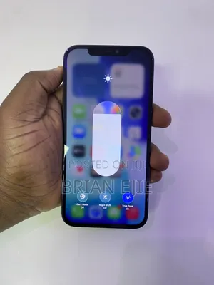Apple iPhone 12 Pro Max 256 GB Blue