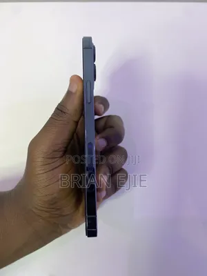 Apple iPhone 12 Pro Max 256 GB Blue