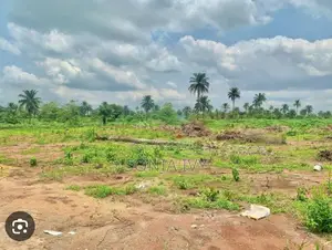 Massive Farm Land at Ifite Ogwari