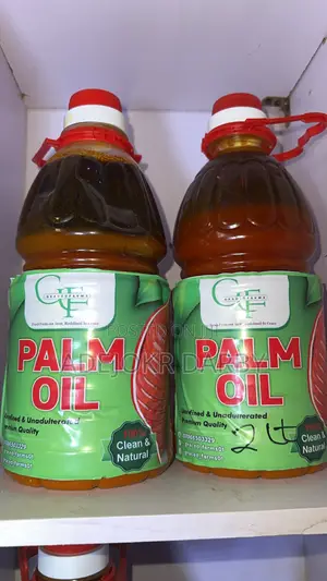 Food Stuff /Tuwo/Palm Oil