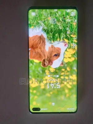 Samsung Galaxy S10 Plus 128 GB Black