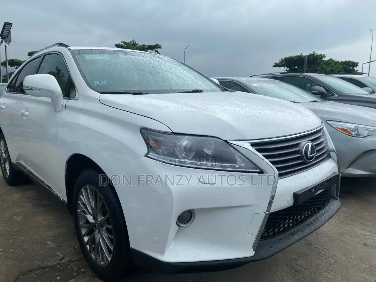 Lexus RX 2013 White