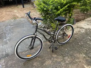 Adult Bicycle for Sell