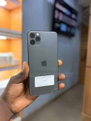 Apple iPhone 11 Pro Max 64 GB Gray