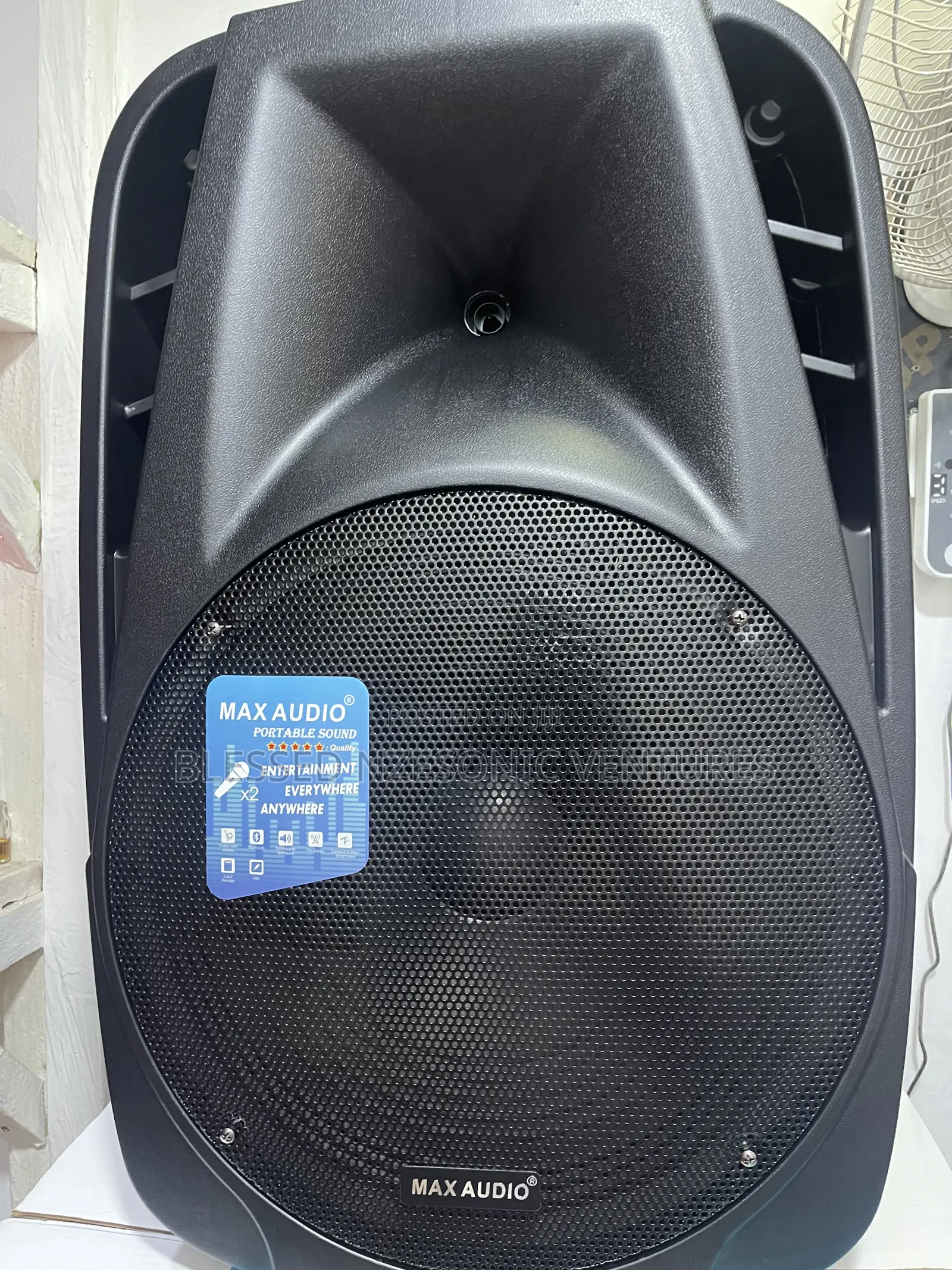 Professional Audio System