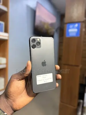 Apple iPhone 11 Pro Max 64 GB Gray