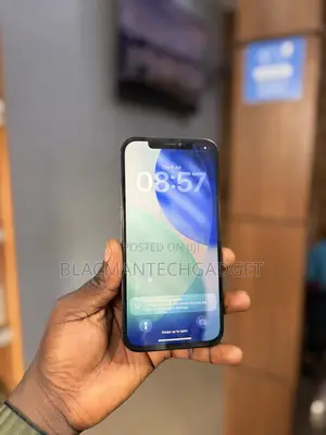 Apple iPhone 12 Pro Max 128 GB Blue