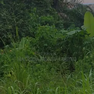 Hectares of Land Available
