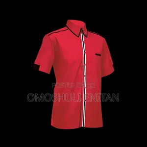 Formula 1 Corporate Shirts Available
