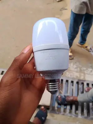 DLI 20w LED Bulb