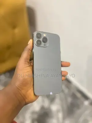Apple iPhone 13 Pro Max 128 GB Gray